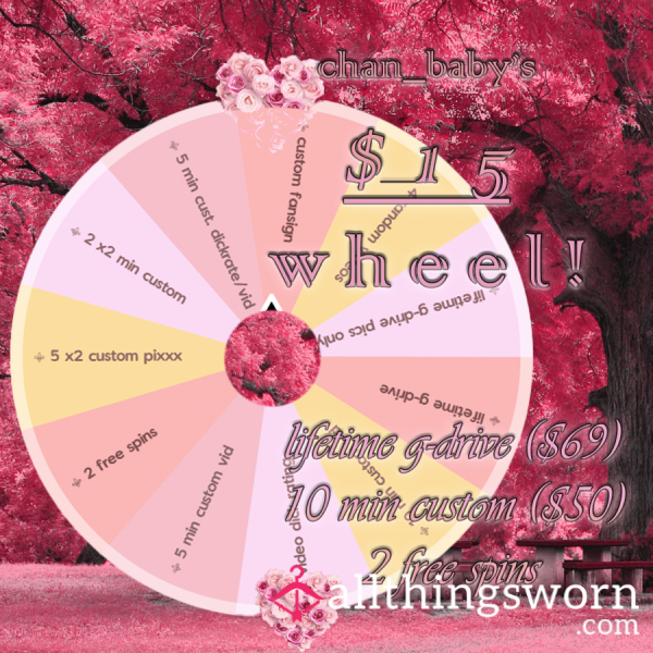 °˖✧✿ $15 Pretty Wheel !! °✧.  Lifetime Drive, Customs, Etc