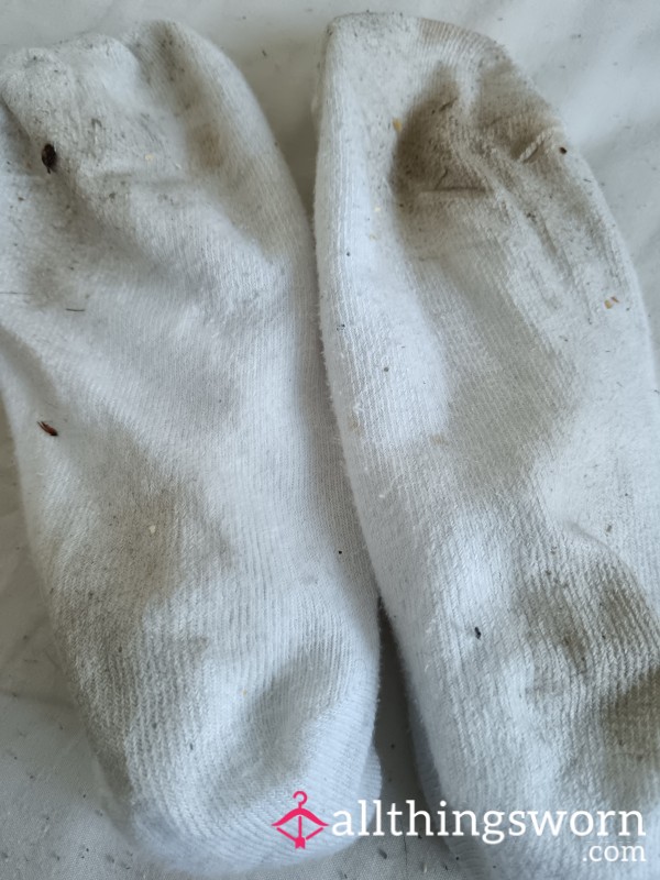 3 Day Wear White Ankle Socks Uk Size 6 - Dirty And Smelly - Can Be Posted Tomorrow!! 😜