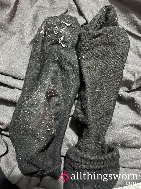 Absolutely Filthy Black Socks. Worn For 4 Days 🤢