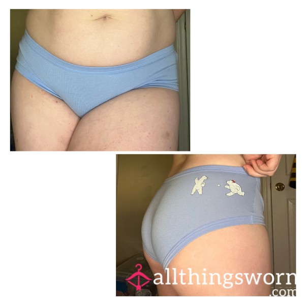 Aerie Blue Cotton Fullback