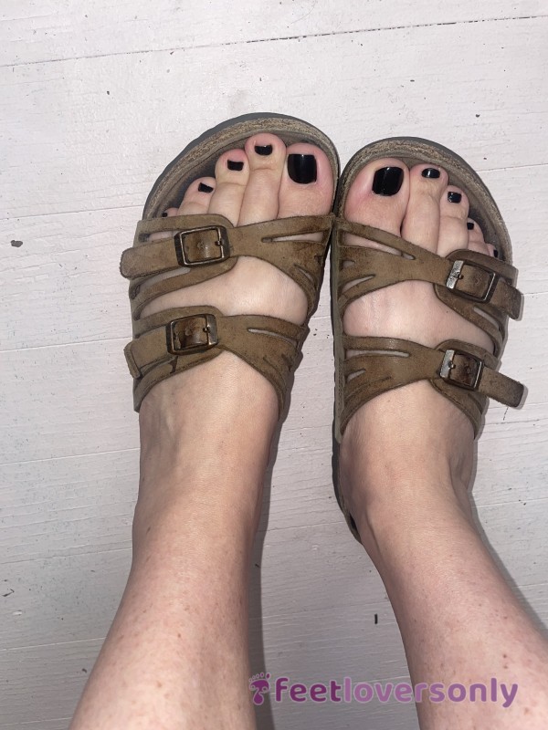 Birkenstocks Sandals Super Worn In