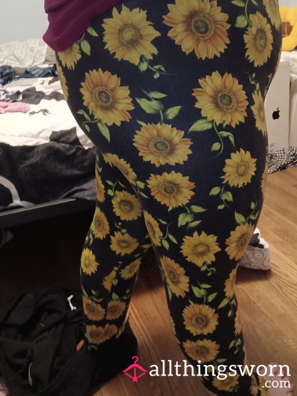 Black & Yellow Floral Sunflower Cotton Leggings Size- XXL