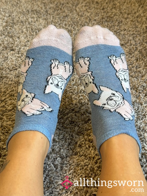 Blue Dog Socks