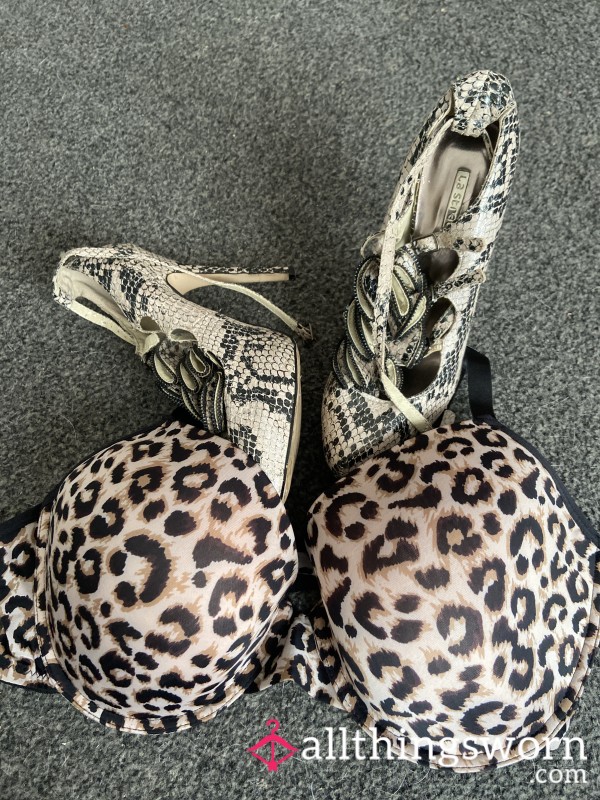 Bra And Shoe  Leopard Set Gorgeous Heels And Bra