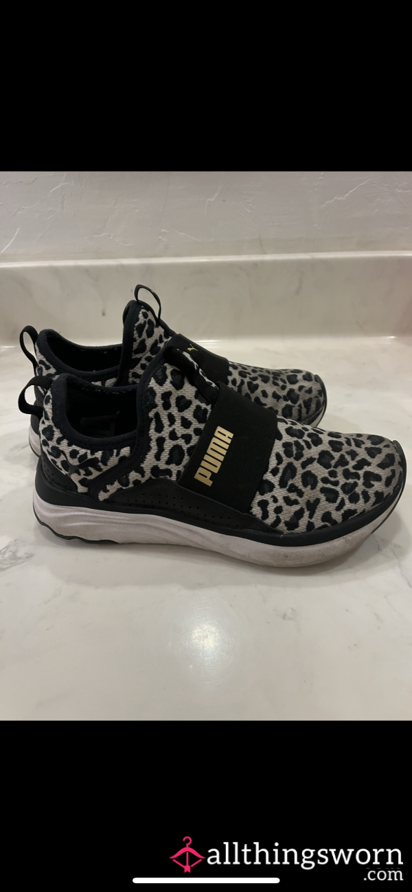 Cheetah Pumas