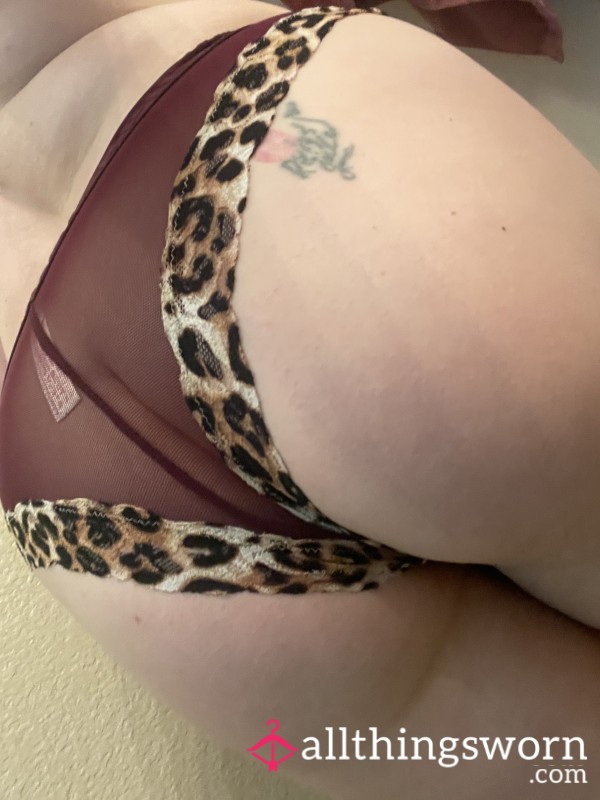 Cute Cheetah Well Worn Panties 2-3 Day Wear