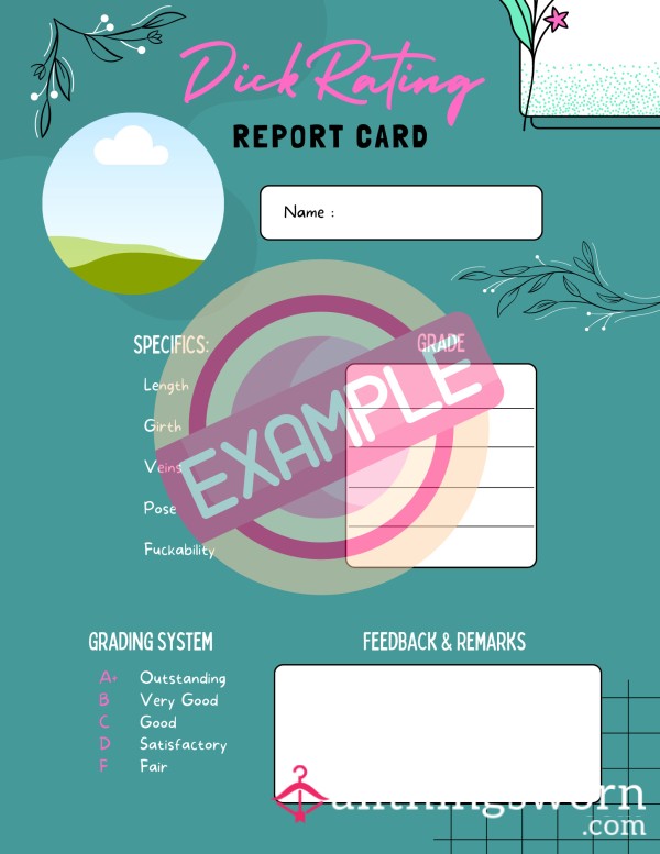 D*ck Rating Report Card