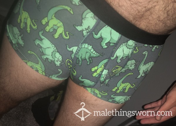 Dino MeUndies Medium Trunks