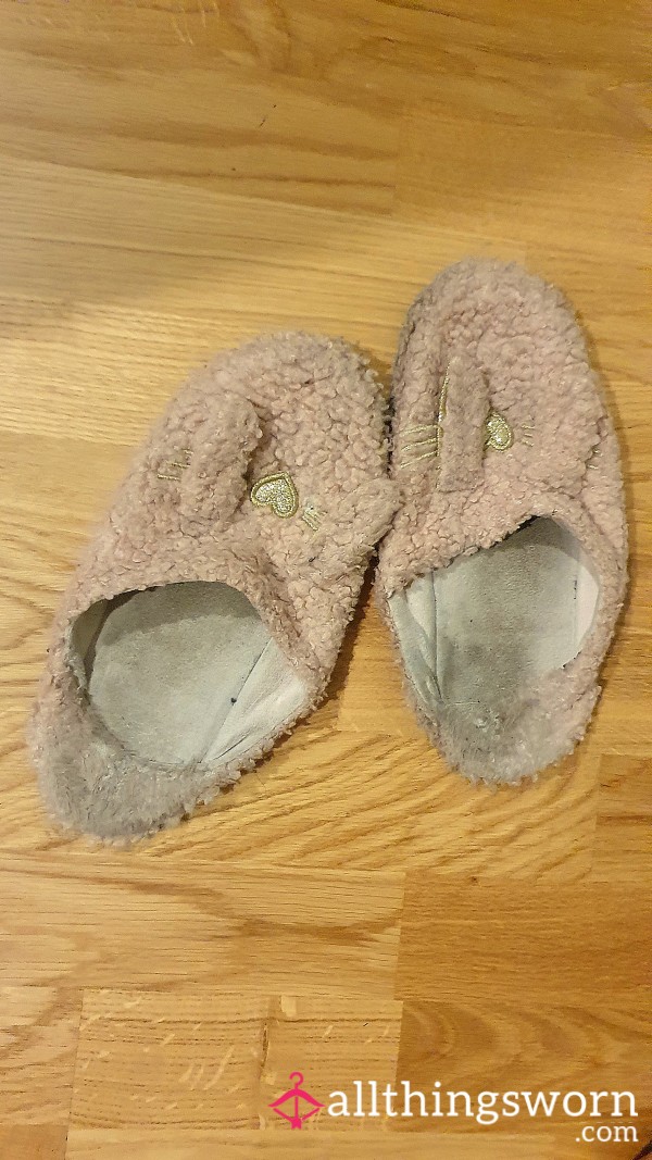 Dirty Slippers (2 Years Old)