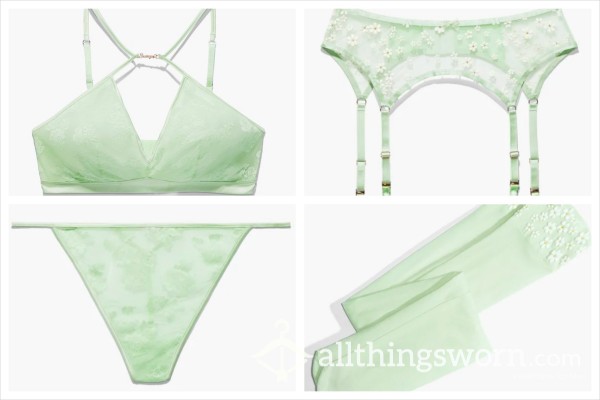 Floral, Pale Green Bra, Panty, And Garter Belt W/ Stockings: Pre-made Photo Set [Price Varies Based On Size Of Set]