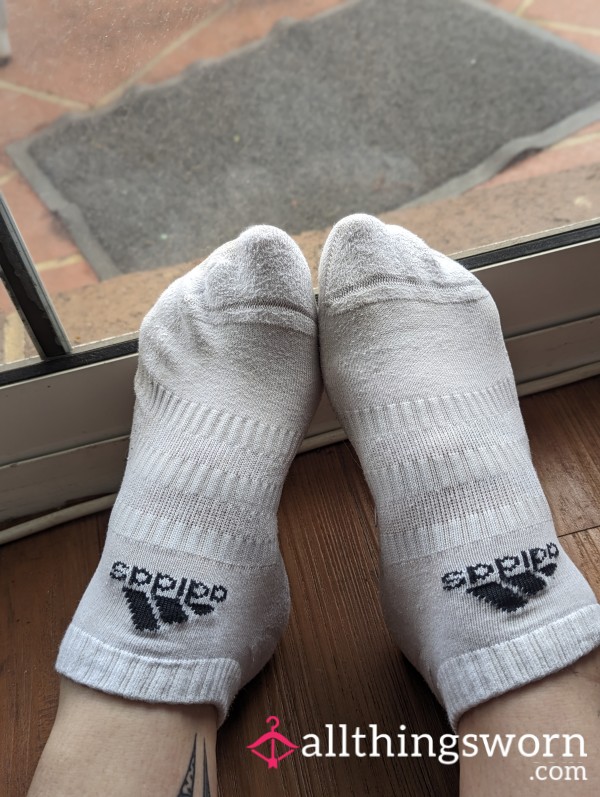 Freshly Sweaty Gym Socks