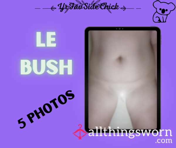 Le Bush (5 Photos) LAST CHANCE