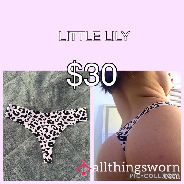 LITTLE LILY