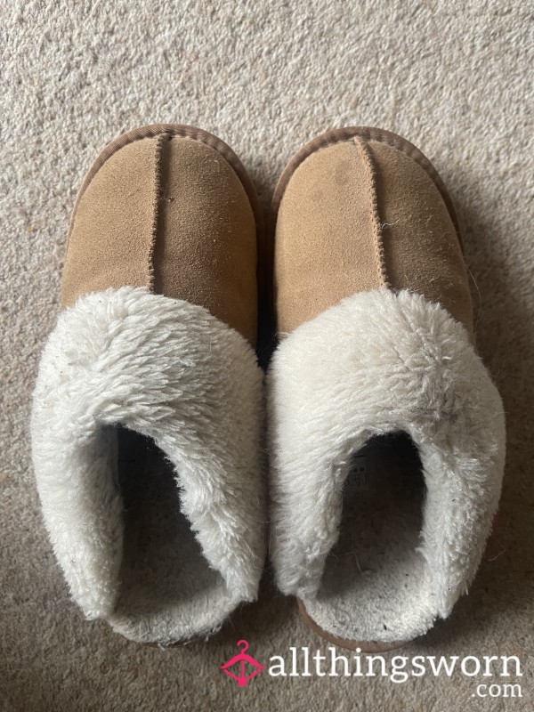 Old Pair Of Slippers