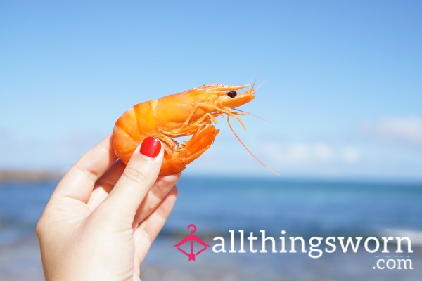 Pay Your Shrimp Tax 🍤