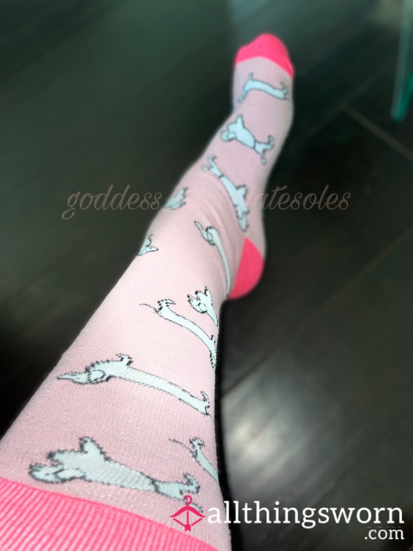 Pink Dachshund Long Socks