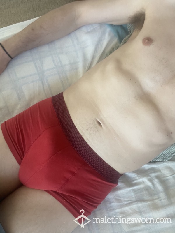 Pi*sy Red Briefs