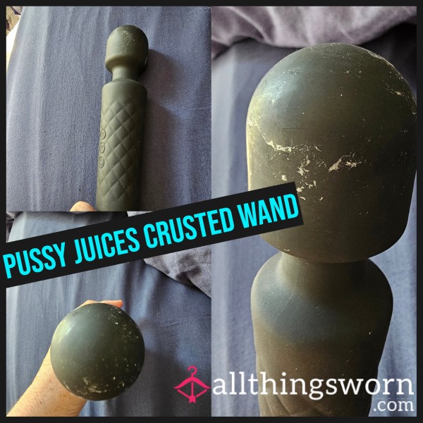 Pussy Cummy Juices Crusted Wand
