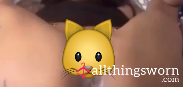 Pussy Pic 🐱