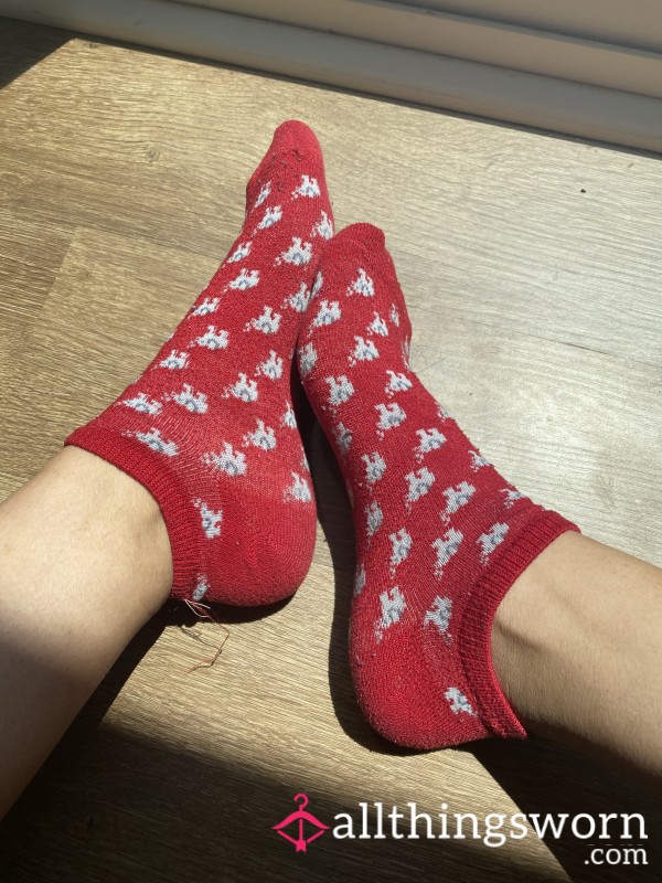 Red Elephant Socks
