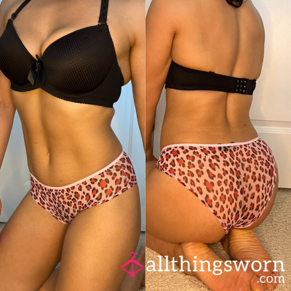 S LA SENZA PINK LEOPARD MESH BIKINI PANTY (1193)