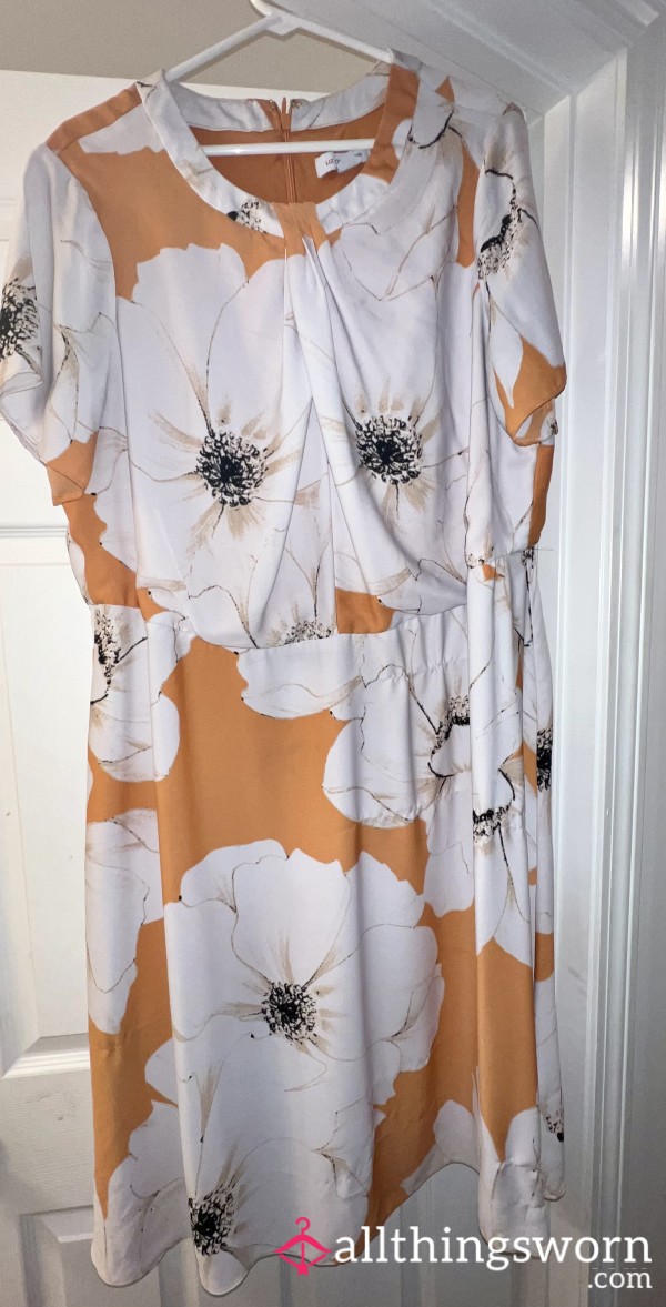 Size 18 Liz Claiborne Orange With White Flowers Dress