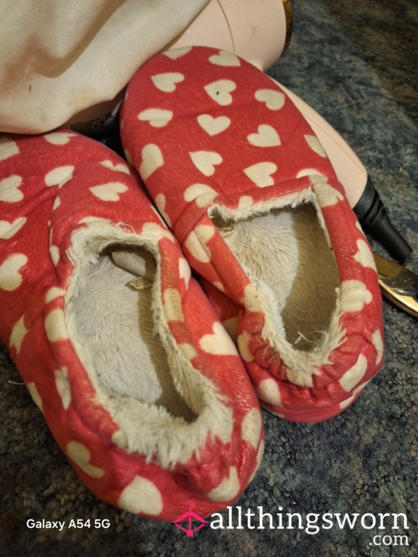 ❤️  Slippers - Old And Stinky