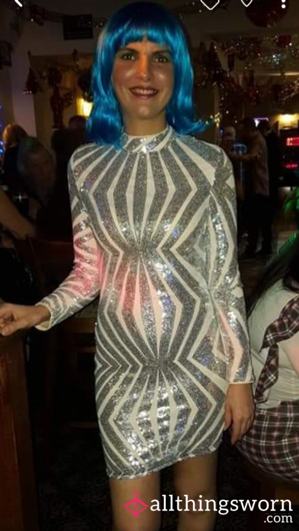 Sliver Fitted Dress Worn By Me