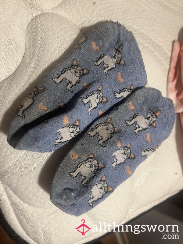Small Cute Blue Socks With Dogs Design