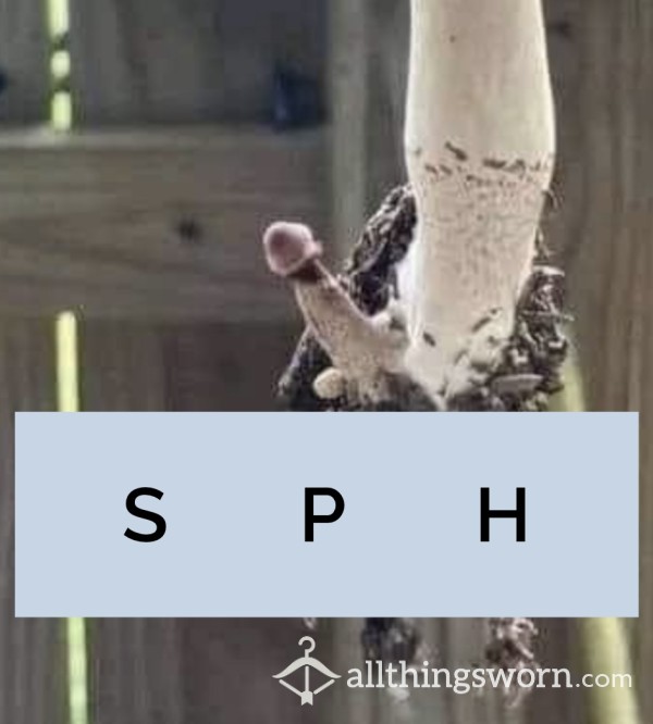 SPH