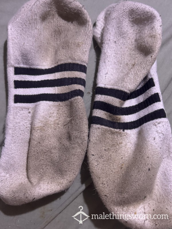 Stinking Adidas Trainer Socks