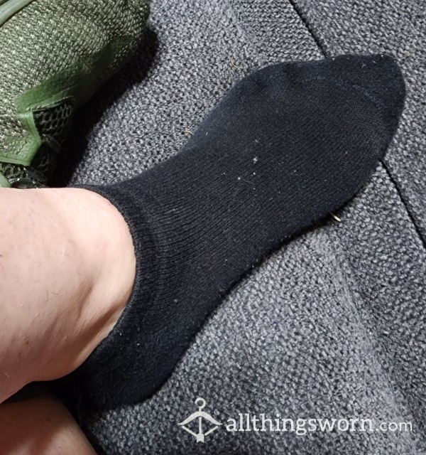 Buy Sweaty Smelly Black Socks 3day Wear