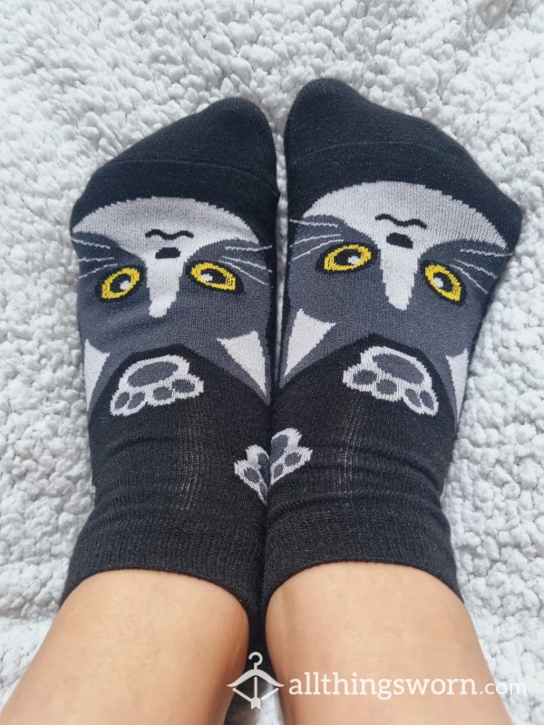 The Cutest Kitty Trainer Socks 😍 🐈