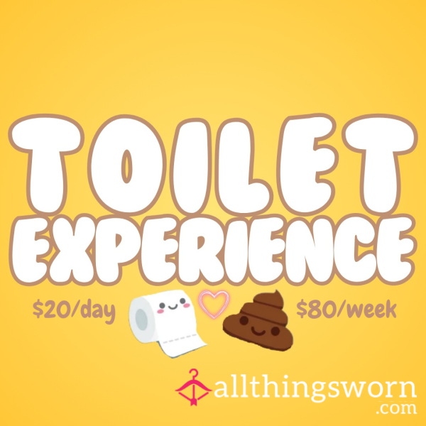 Toilet Experience 🚽💕