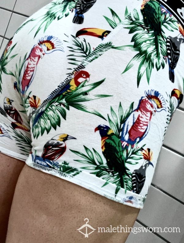 Tropical Theme Boxer