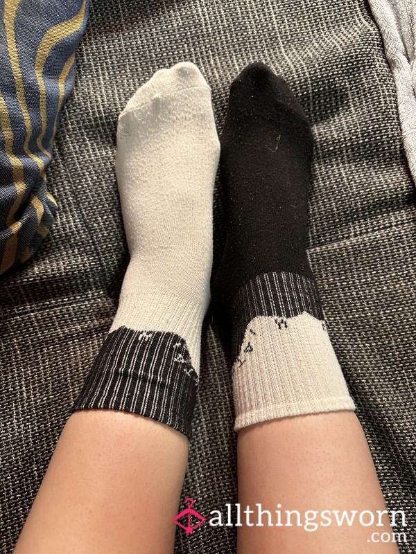 Used Black/white Crew Socks