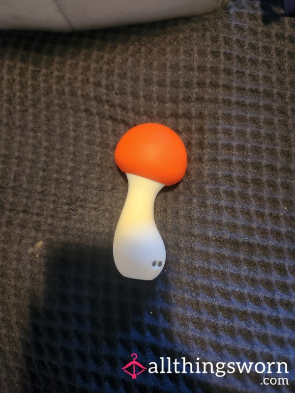 Used Mushroom Shaped Vibrator