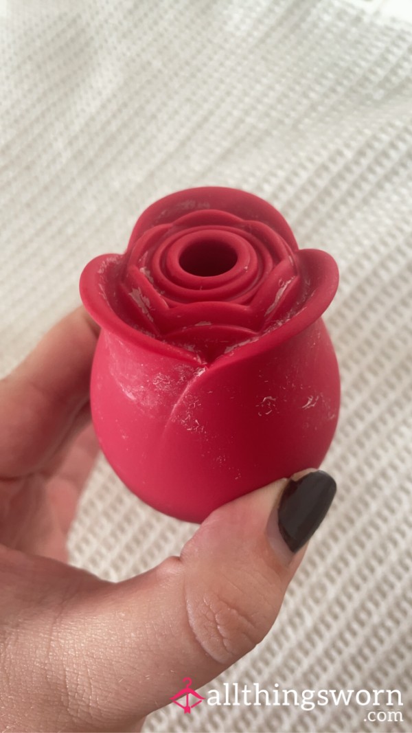 Used Rose Vibrator Sex Toy With LOTS Dried Cum
