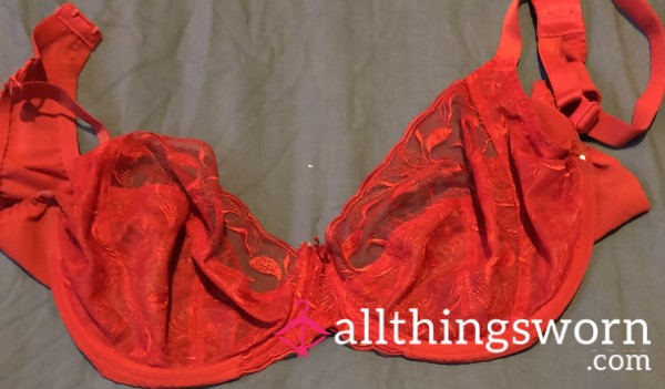 Used Sexy Red Bra