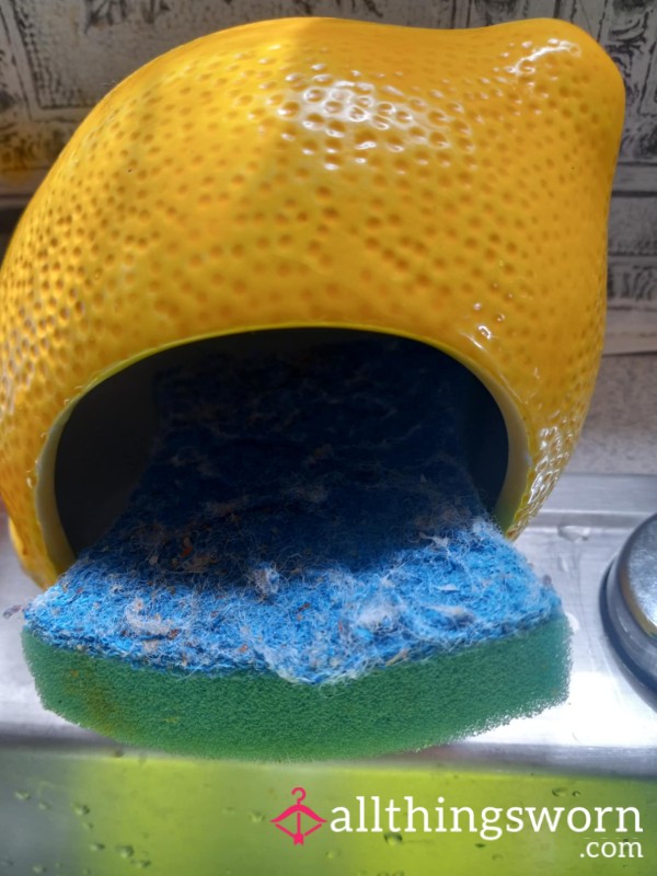 Very Used Kitchen Sponge