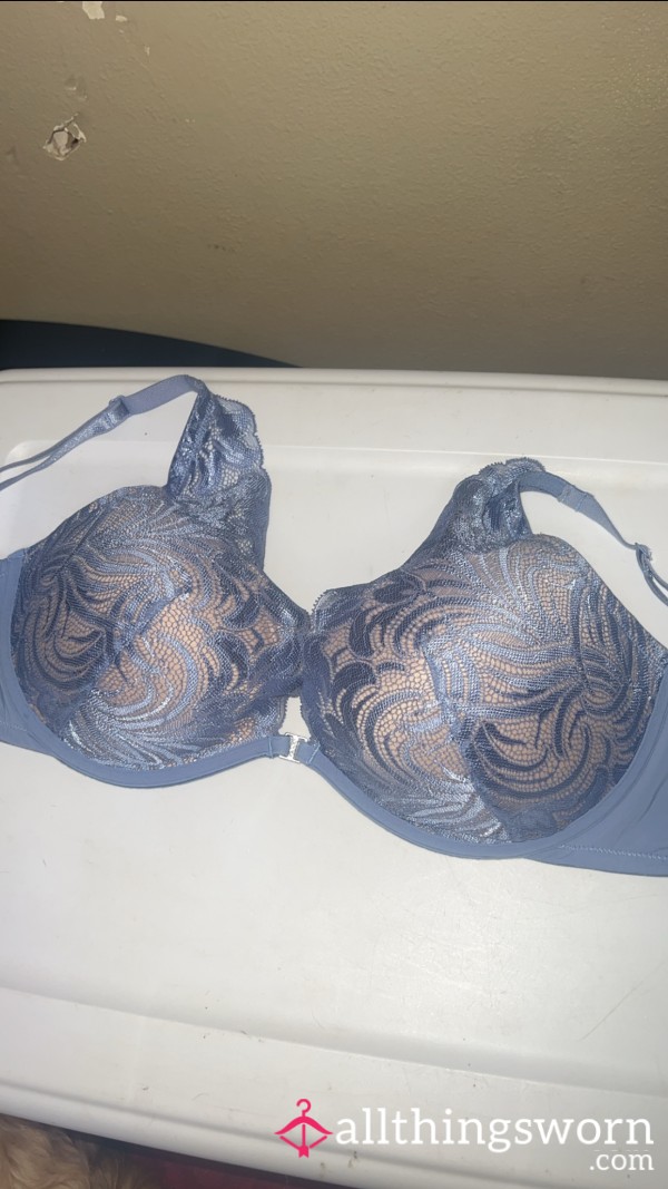 Well Used Lace Bra