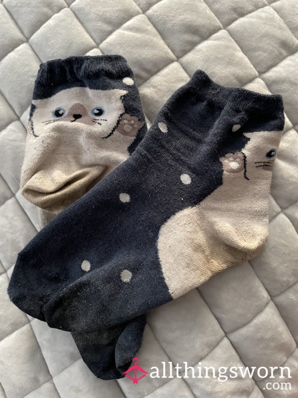 Well Worn Crew Cut Cat Socks 💕🧚‍♀️