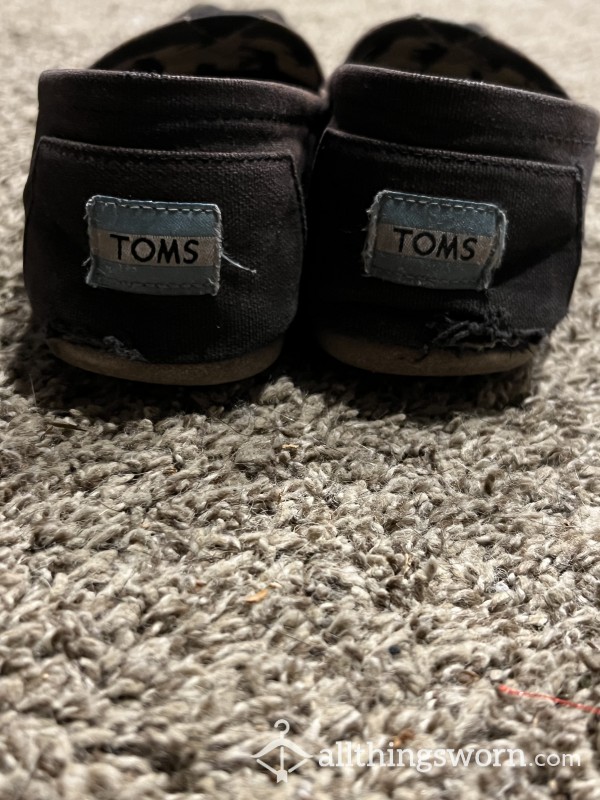 Well Worn Size US 7.5 Toms