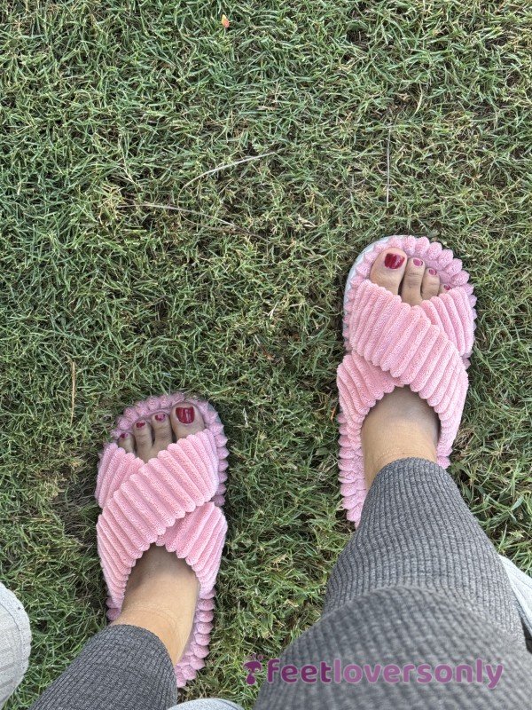 Pink Slippers